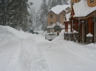 87839 E Creek Ridge Rd, Government Camp, OR 97028