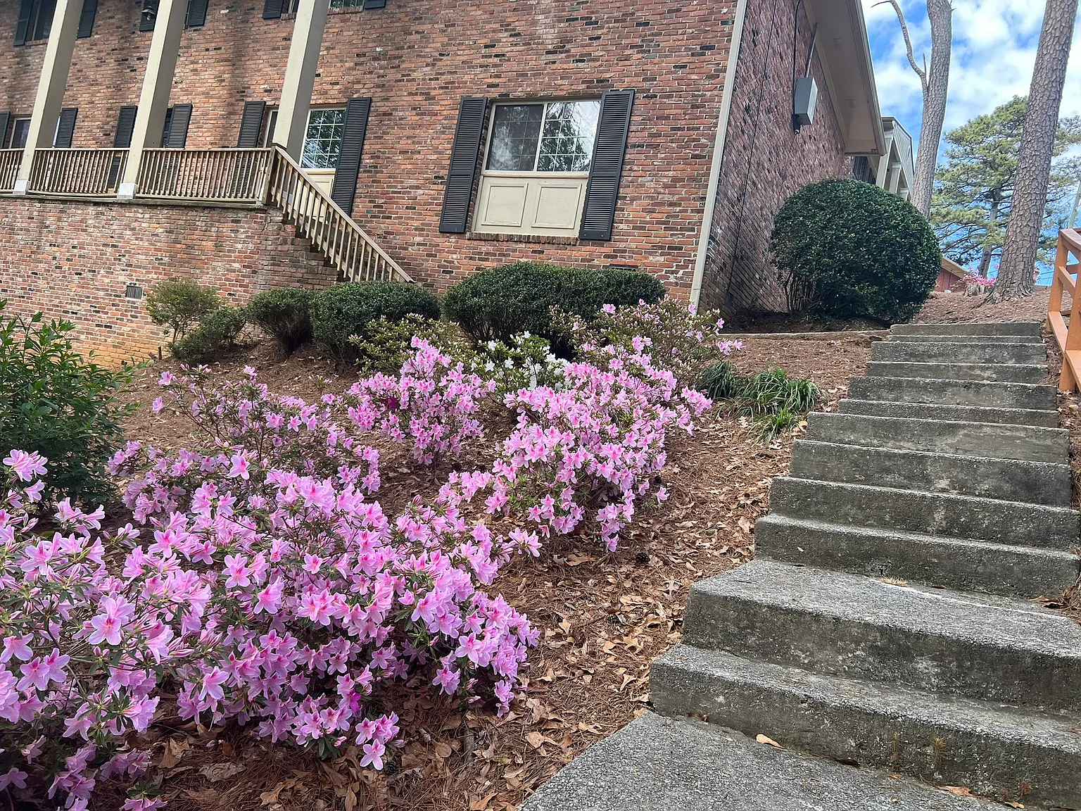 Summit View Apartments — Photo 4