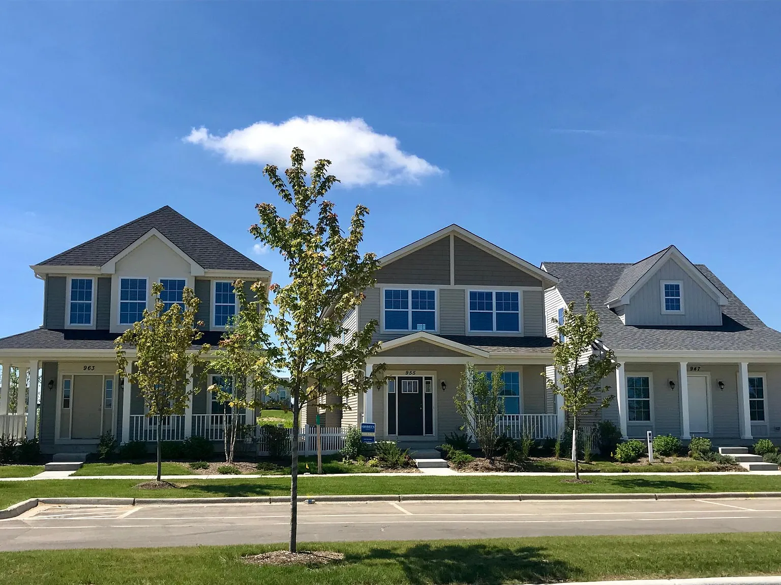 Elburn Station Single Family Homes — Photo 1