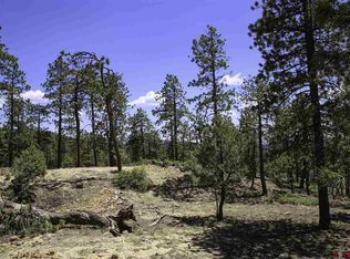 230 Blue Ridge Cir, Bayfield, CO 81122