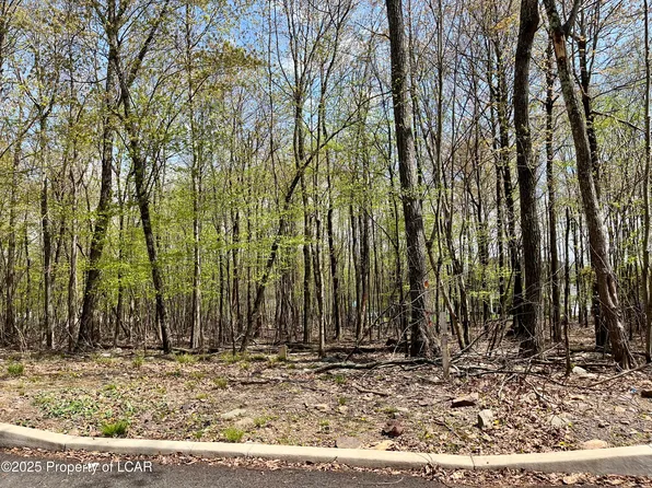 LOT 150 Manor Dr, Mountain Top, PA 18707