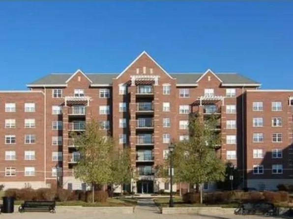 440 W Mahogany Ct Unit 303, Palatine, IL 60067