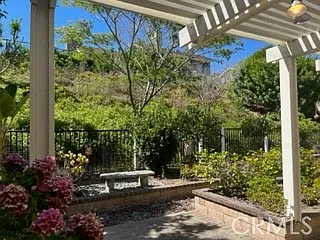 15 Elderberry — Photo 129