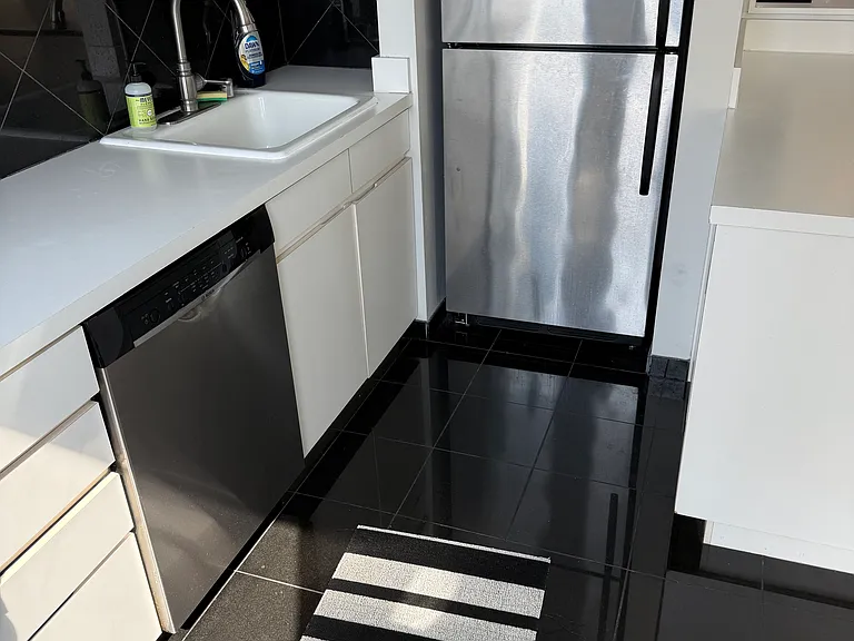 1 E Scott St #2309 — Photo 3
