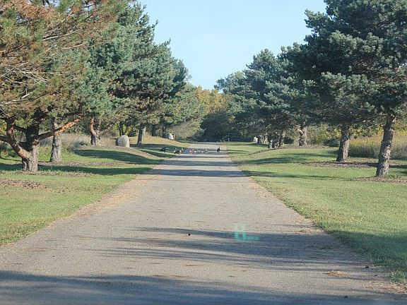 Main drive back to house.