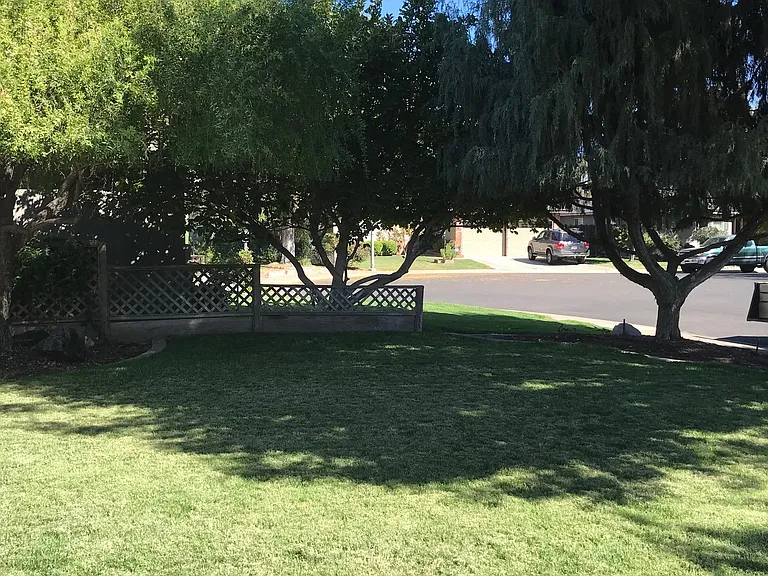 357 Birchwood Ct — Photo 6
