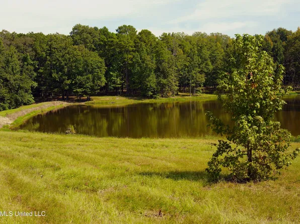 0 Ratliff Rd, Raymond, MS 39154
