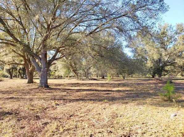 Hokkolen 4a 11ac Northeast Hwy #315, Fort Mc Coy, FL 32134