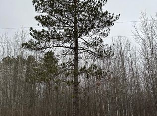 Burrows Lake Rd #4067-B, Tomahawk, WI 54487