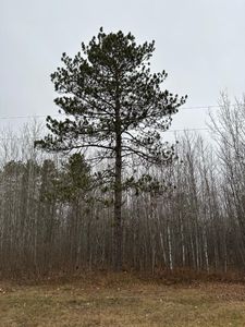 Burrows Lake Rd #4067-B, Tomahawk, WI, 54487