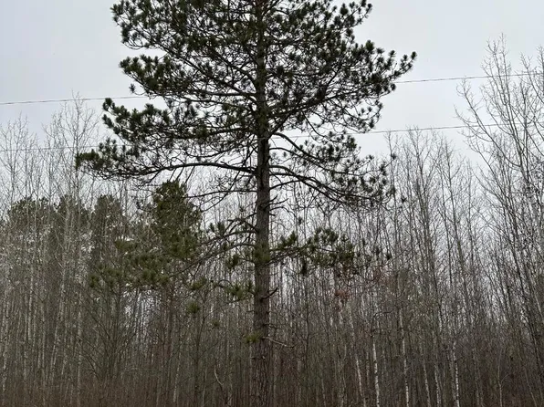 Burrows Lake Rd #4067-B, Tomahawk, WI 54487