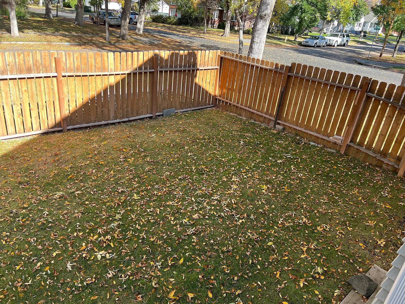 1 bed, 700 sqft, $1,100 — Photo 2