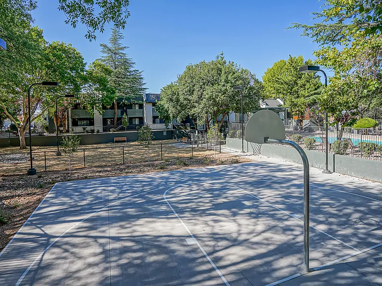 New Sports Court & Gated Dog Park