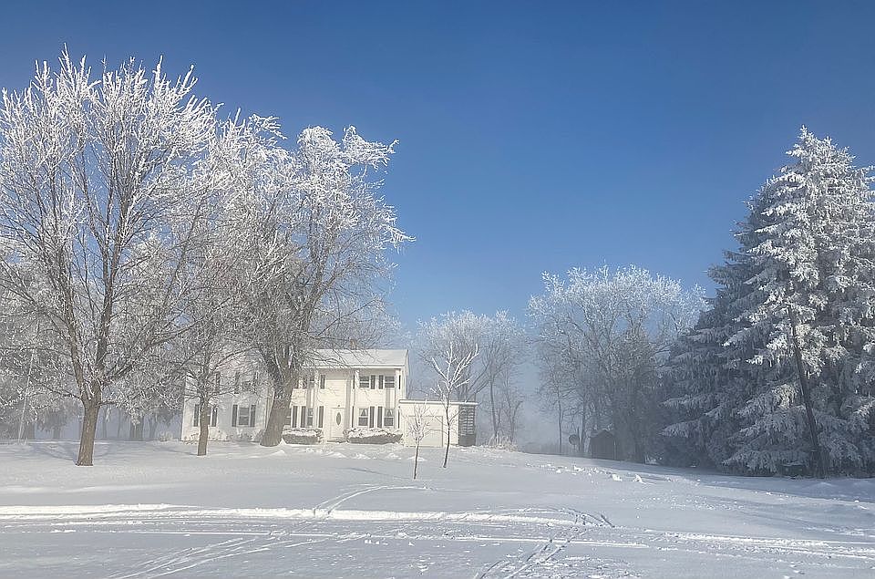 Winter wonderland 
