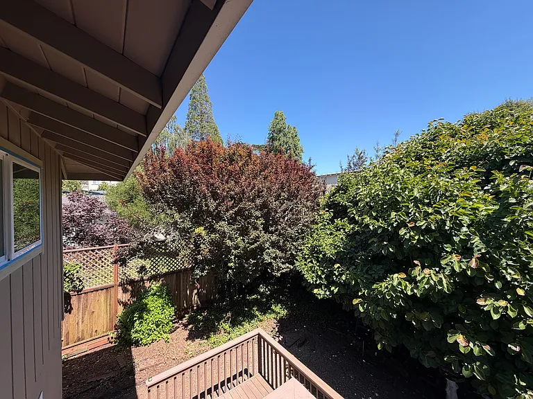 View from Primary Suite