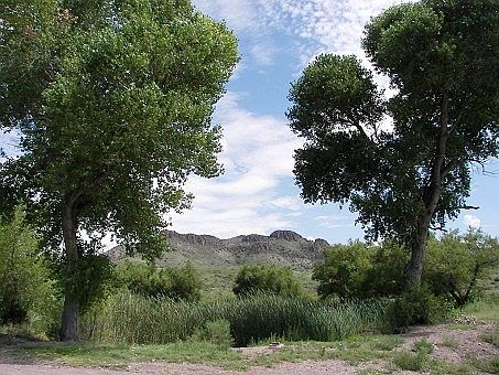 2nd image of 37 Jaralosa