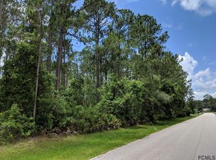 36 Rickenbacker Dr, Palm Coast, FL 32164
