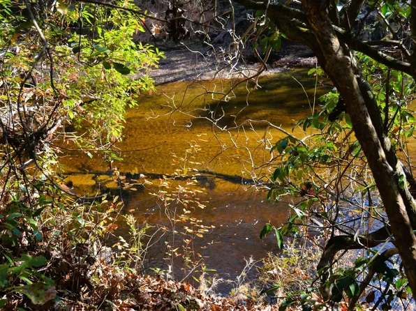 9 Josey Williams Rd #9, Erwin, NC 28339