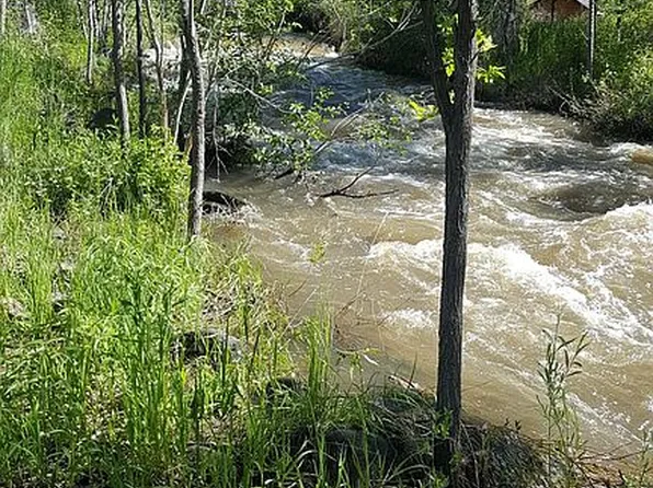 525 SE 2nd St, Cedaredge, CO 81413