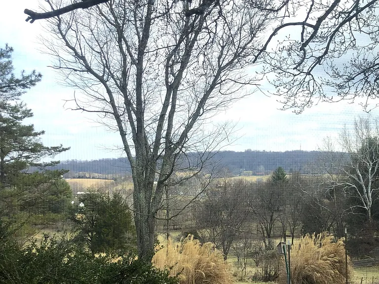 8376 Meadows Rd #COTTAGE — Photo 5