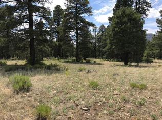 6775 N Rain Valley Rd, Flagstaff, AZ 86004
