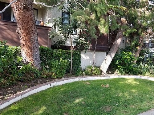 2nd image of 11825 Magnolia Blvd #109