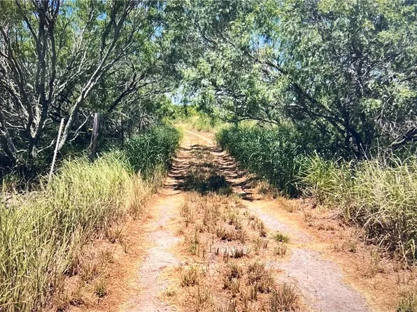 0 Fm 3354/cr #12, Bishop, TX 78343