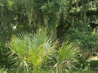 411 Wendel Ave, Lithia, FL 33547