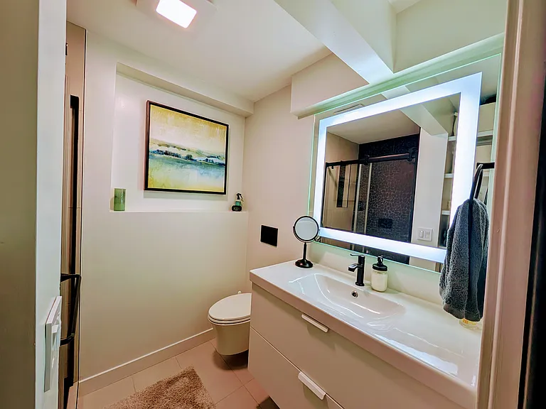 Primary bedroom - ensuite bathroom, lighted mirror, walk-in shower, plenty of storage.