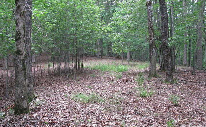 1st image of 2.35 Star Creek Ct