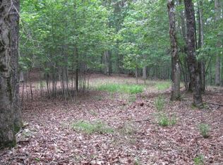 2.35 Star Creek Ct, Morganton, GA 30560