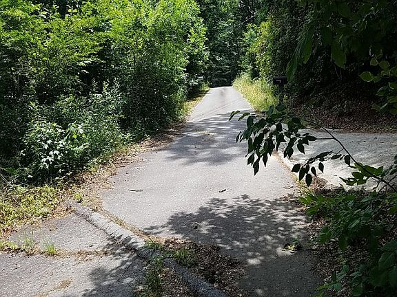 4th image of 292 Gobbler Cir