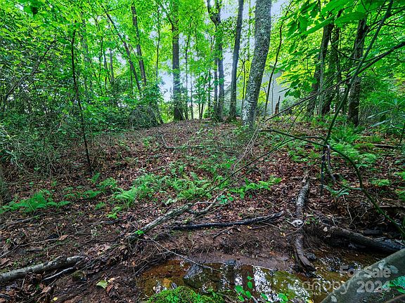 5th image of 2507 Carriage Falls Ct