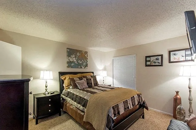 Model Apartment Bedroom with Plush Carpet