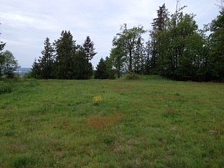 5th image of 25730 38th Ave NW