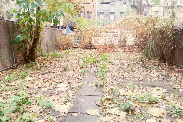 Rented by Evergreen Apartments BK | media 3