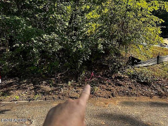 5th image of 6613 Cochise Dr