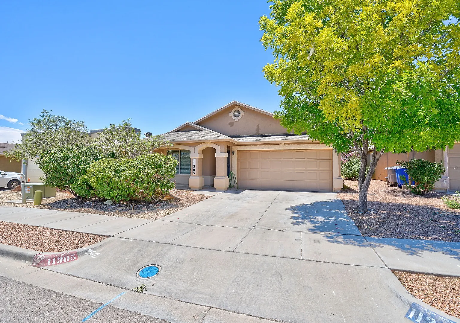 11305 Cattle Ranch St — Photo 2