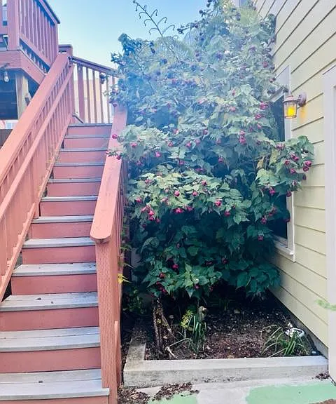 509 Potrero Ave #A — Photo 15