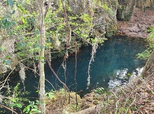 NE 10th St, Williston, FL 32696