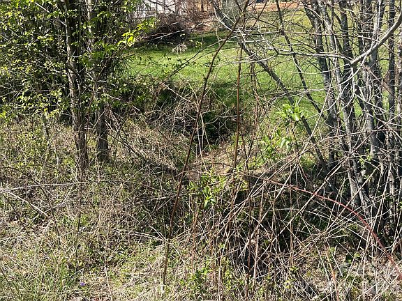5th image of 0 Chestnut Gap Rd