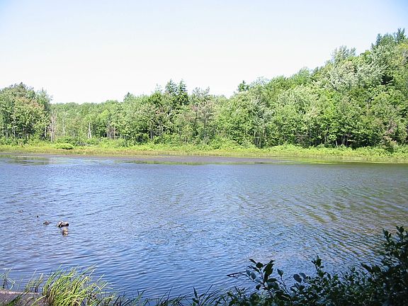 most waterfront on Empeyville pond