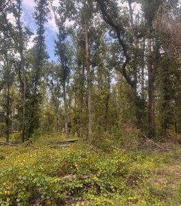 0 SW Summerset Way, Madison, FL, 32340