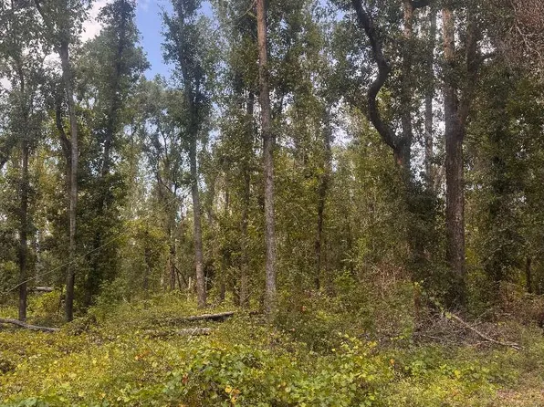 0 SW Summerset Way, Madison, FL 32340