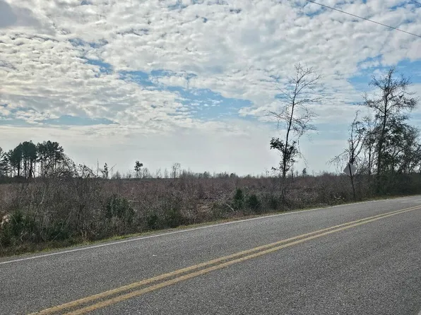 Clear Springs Rd, Laurel Hill, FL 32567