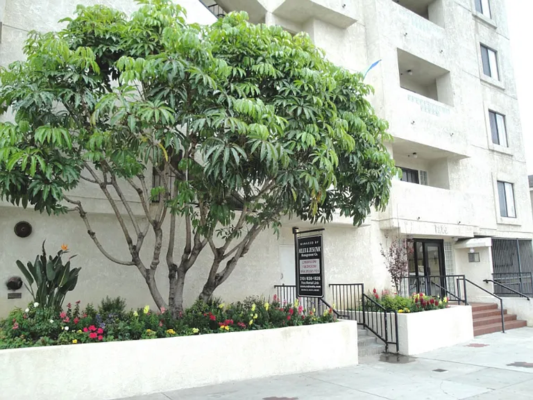 v1210 — Photo 17