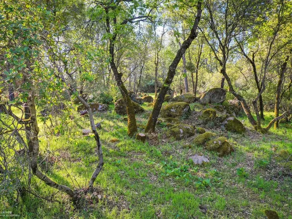 18437 Fair Oaks Dr, Penn Valley, CA 95946