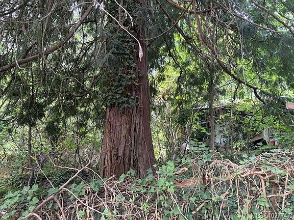 3rd image of 13050 Thomas Rd