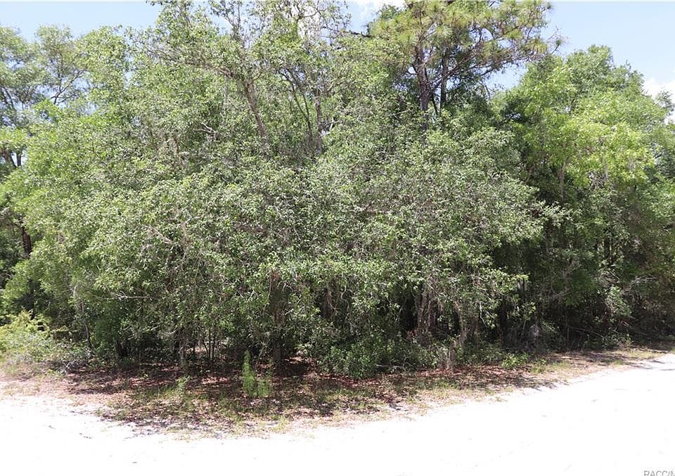 2nd image of 10845 E Tree Ln