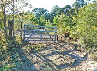 302 Pine Tree Loop, Bastrop, TX 78602